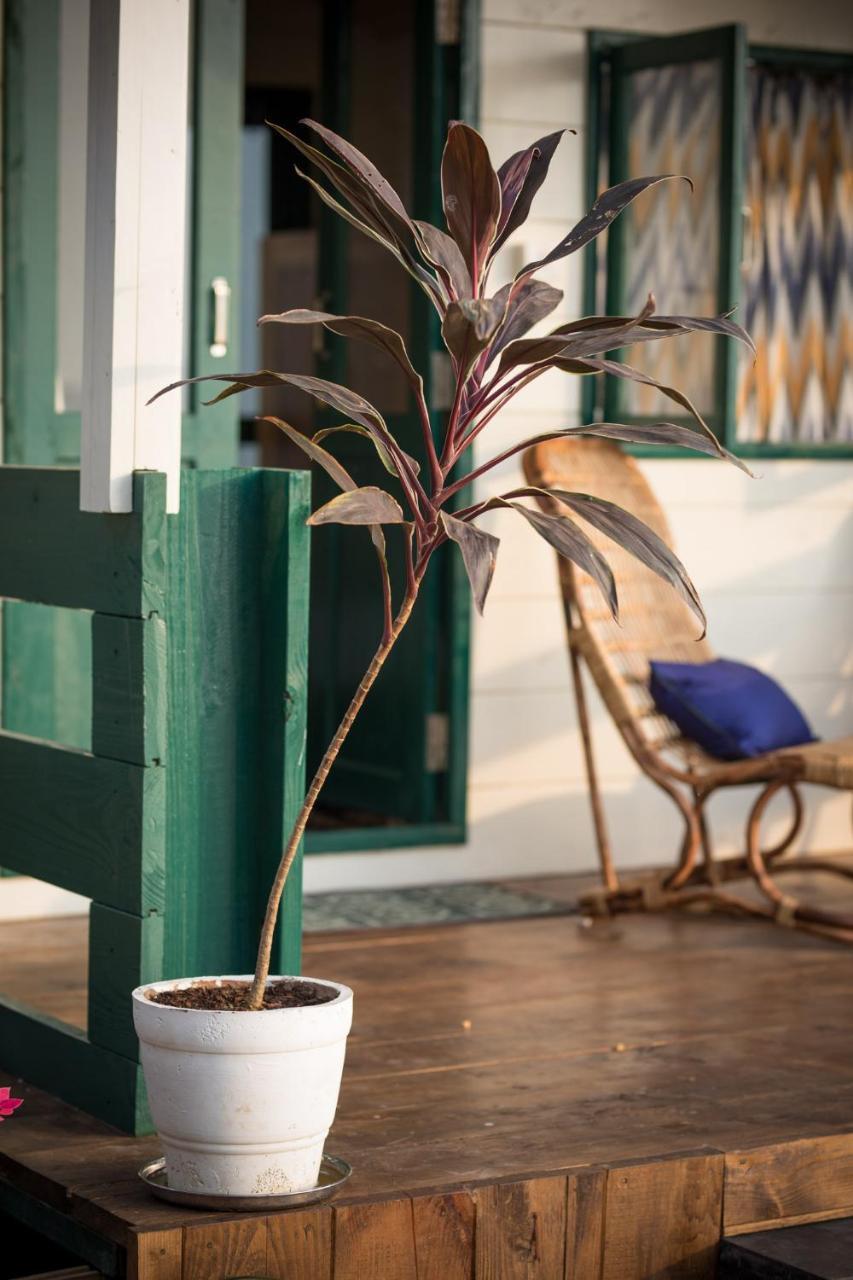 קאנאקונה Nest Cottages מראה חיצוני תמונה